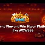 How to Play and Win Big on Platforms